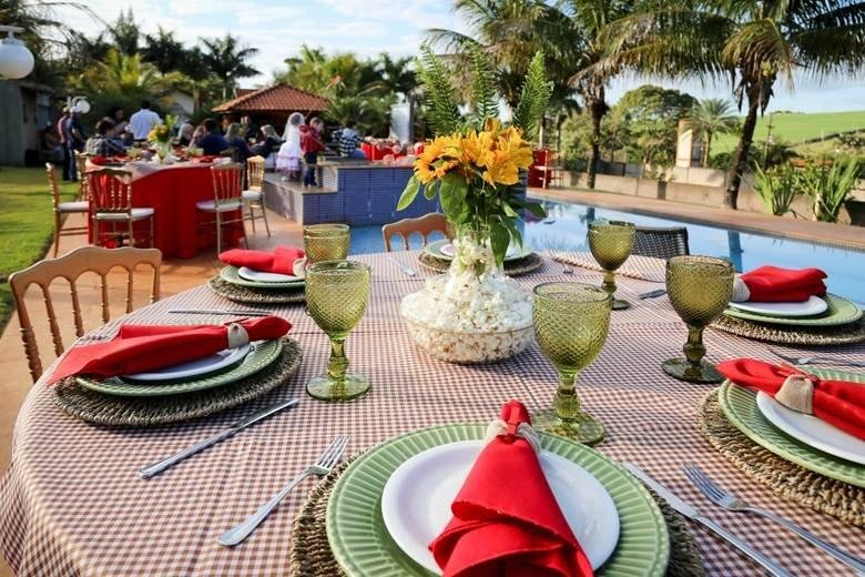 gingham-tablecloths-for-a-backyard-party-the-compl-1